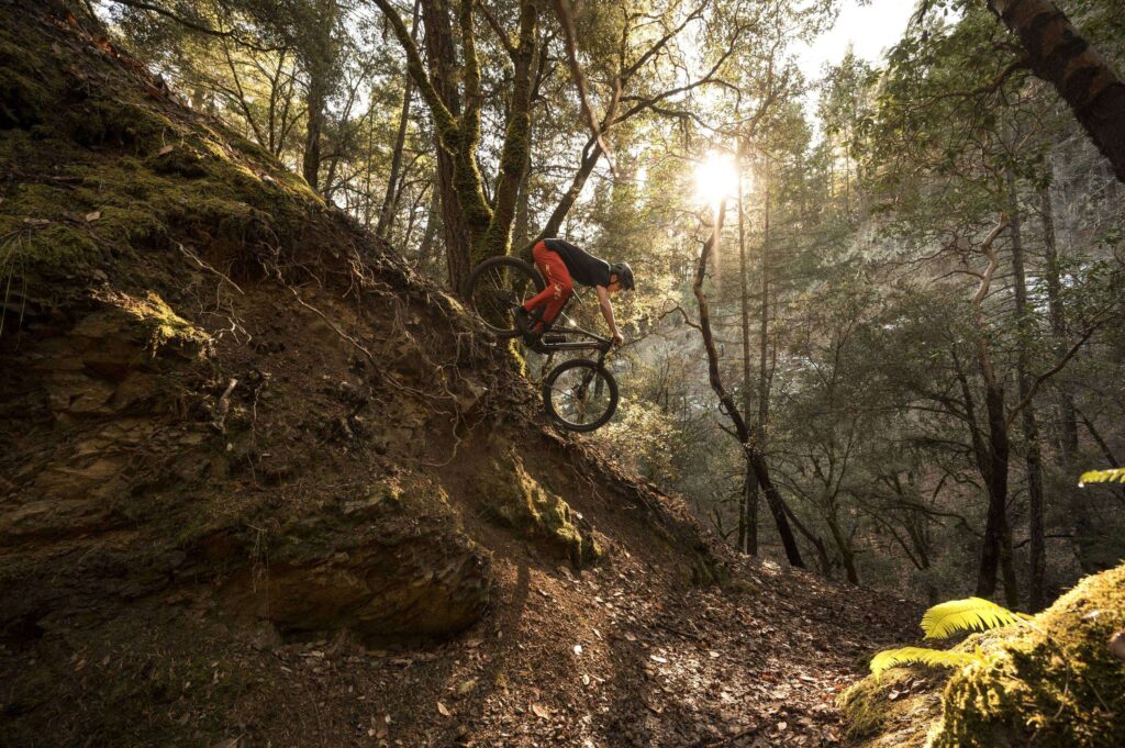 Specialized Stumpjumper cycleXperience.nl