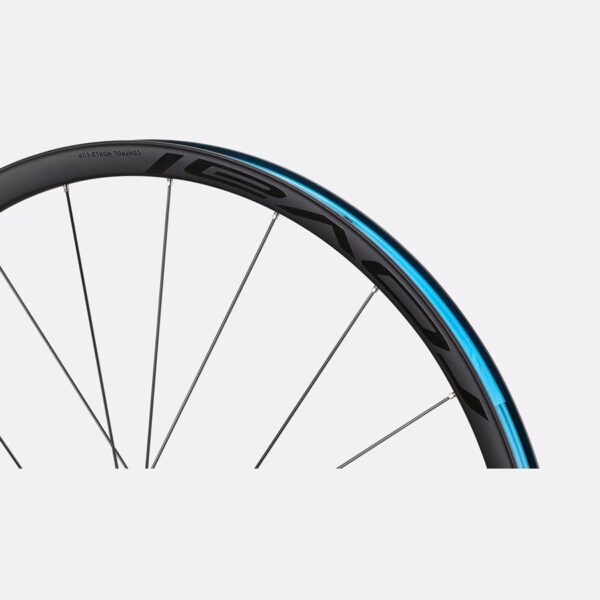 cycleXperience - 30125-24xx - Specialized - Rear wheelL 29 Control World Cup 20H - 3 cycleXperience - 30125-24xx - Specialized - Rear wheelL 29 Control World Cup 20H - 3